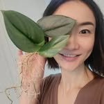fc_jenny_garden 프로필 사진