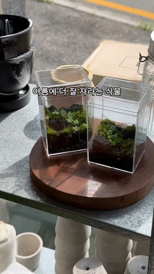 maximal_green_ 게시물 이미지: (째릿)
근데 너무 자주 들여다보면
크는지 안크는지 모르겠어요..ㅎㅎㅎㅎ
저...
