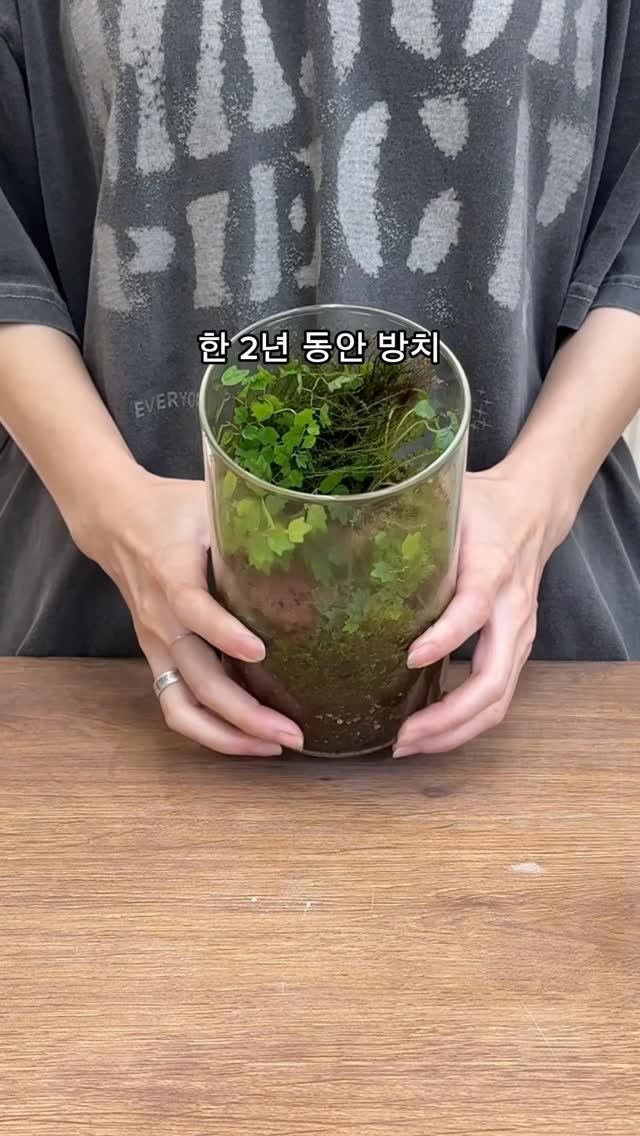 maximal_green_ 게시물 이미지: 눈 마주칠 때 마다 모른 척, 피했던
테라리움인데요 .. ㅋㅋㅋ🥹

안에 애기모람이...