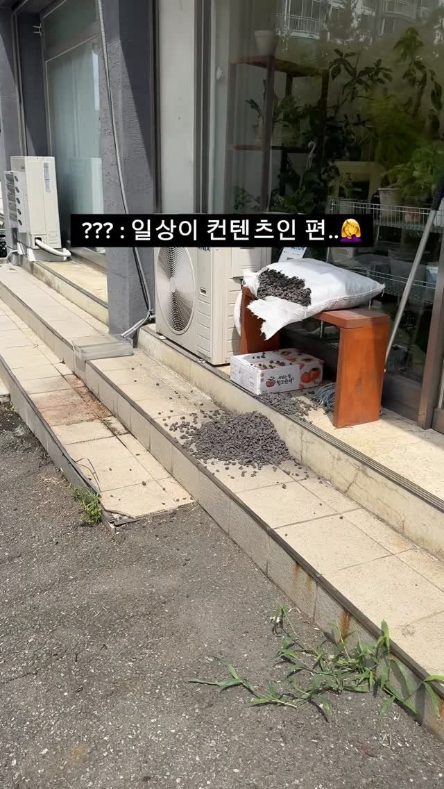 maximal_green_ 게시물 이미지: 와중에 목장갑 하나 잃어버려서
한 쪽은 맨손입니다... ㅋㅋㅋㅋㅋ

이전한 가게가...