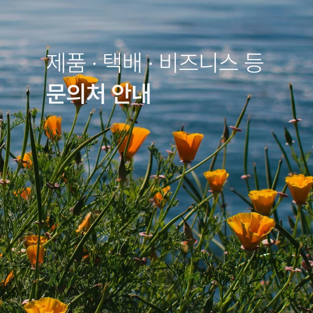 Photo by 맥시멀그린 식물가게 & 테라리움 on August 31, 2025. May be an image of text that says '제품 택배 비즈니스 등 문의처 안내'.