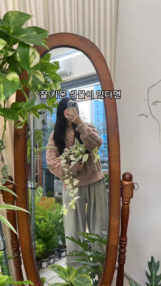 maximal_green_ 게시물 이미지: 😮‍💨 줄기만 쭉쭉 뻗기 있니....

카스테니안 친구들이 이전한
가게 환경이 영...