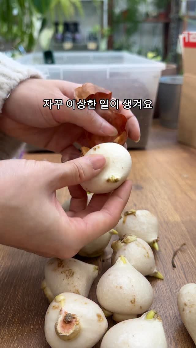 maximal_green_ 게시물 이미지: 이상한 일 4가지
1. 주변 사장님들이랑 친해짐
2. 의도치 않게 점심해결
3....