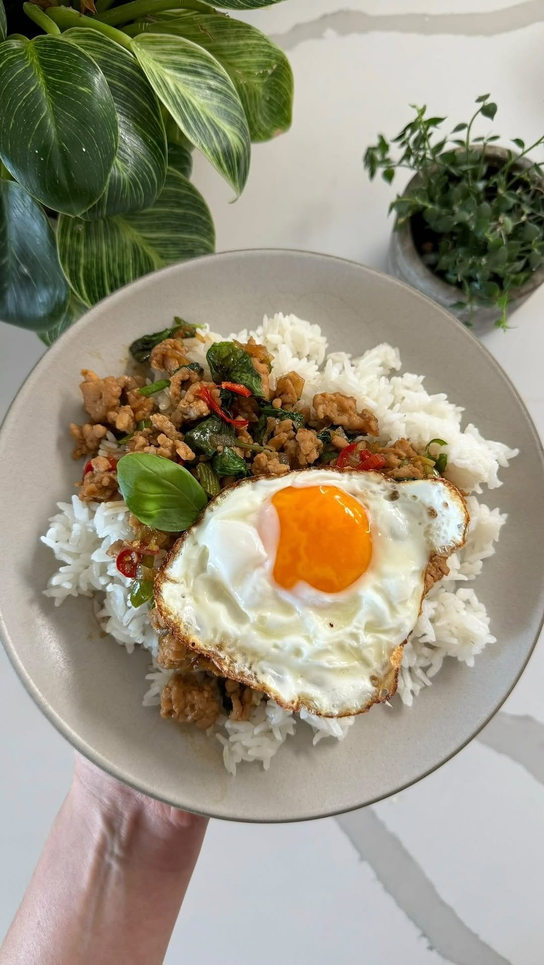 maxiskitchen 게시물 이미지: Thai basil chicken✨ 

My debut cookbook is...