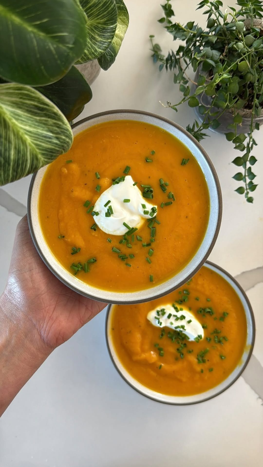 maxiskitchen 게시물 이미지: Healthy carrot ginger soup ✨ 

My debut...