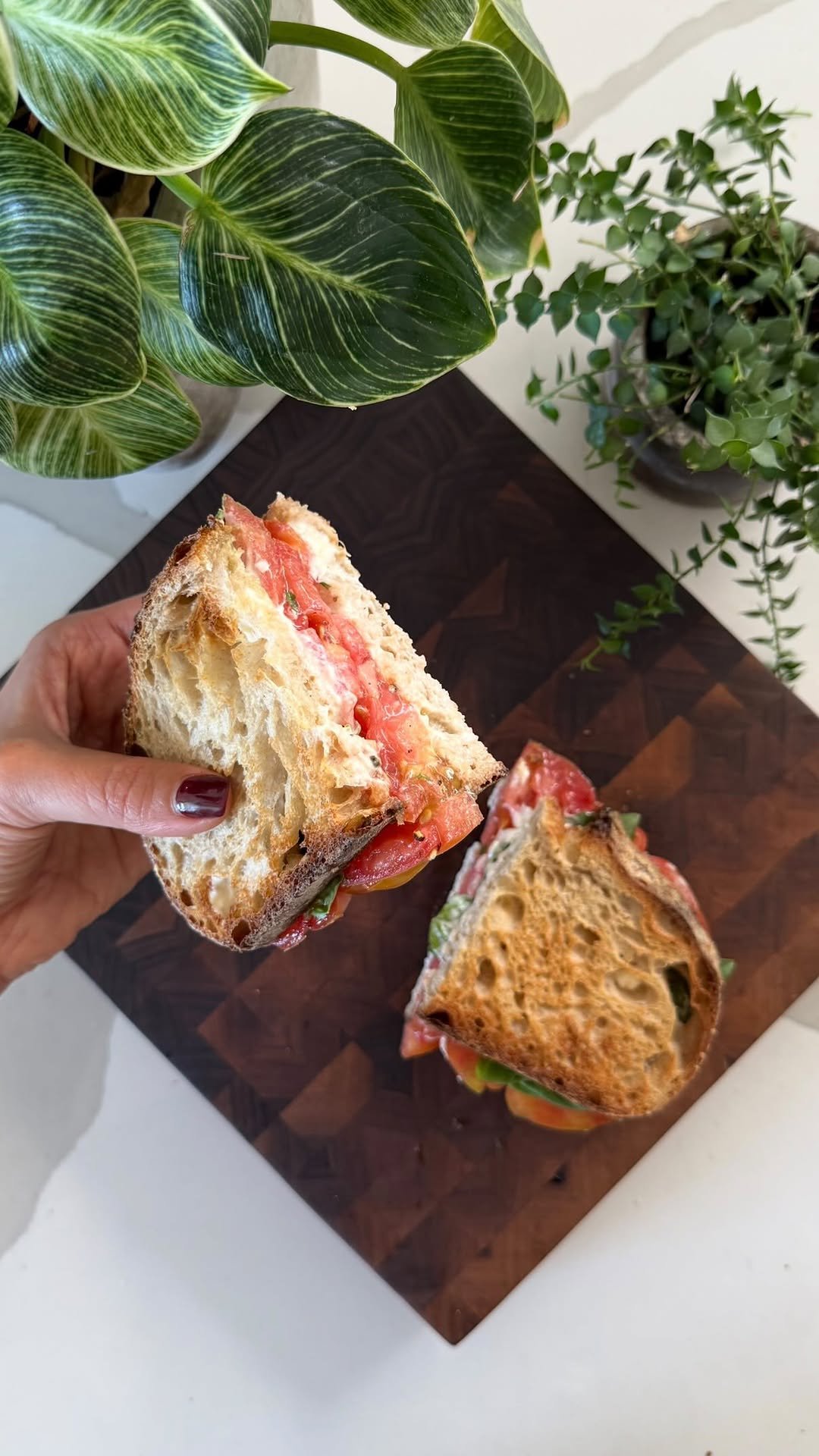 maxiskitchen 게시물 이미지: Summer tomato sandwich✨

My debut cookbook is...
