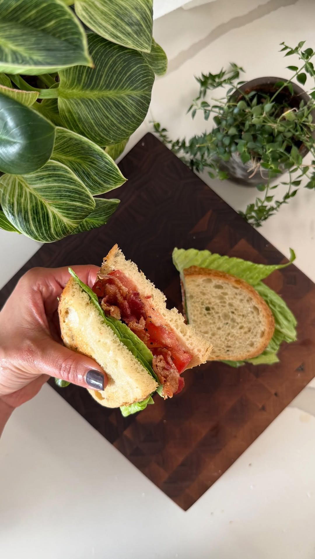 maxiskitchen 게시물 이미지: BLTA✨

My debut cookbook is officially out...