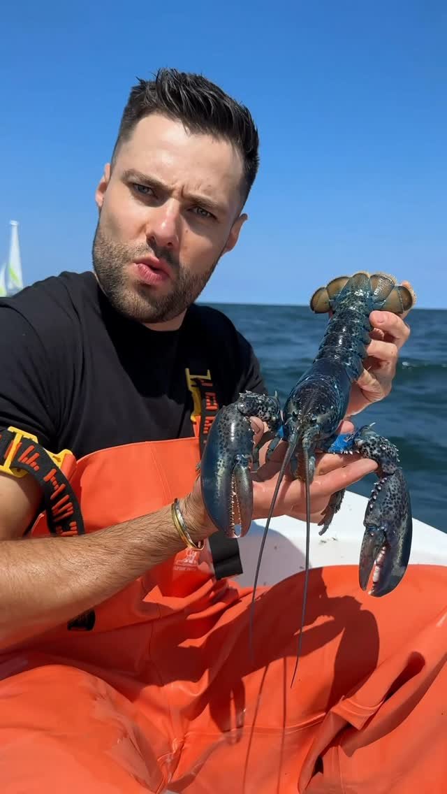 maxthemeatguy 게시물 이미지: $1,000,000 Blue Lobster Roll

Sorry I kept you...