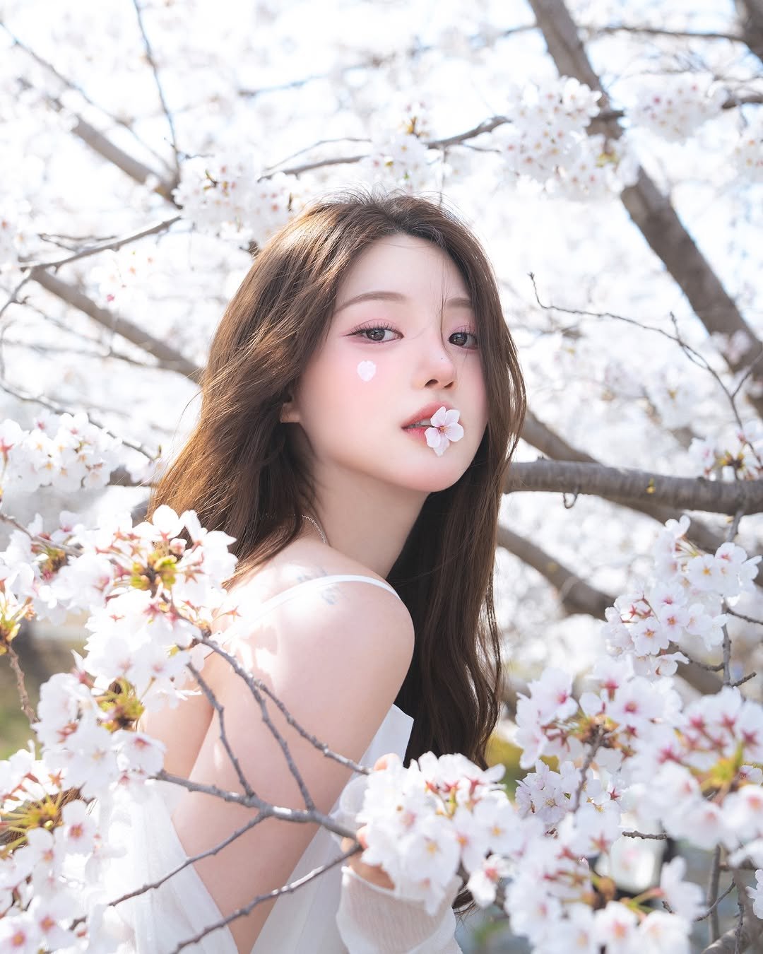 Photo shared by 메이뮤 maymew on May 01, 2025 tagging @dl._.photo, and @may._.mew.art. May be an image of 1 person, outdoors and text.