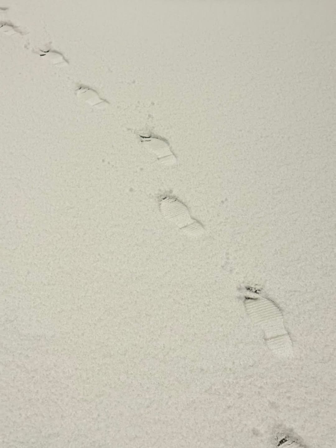 Photo by 성식영 on December 04, 2025. May be an image of beach and text.