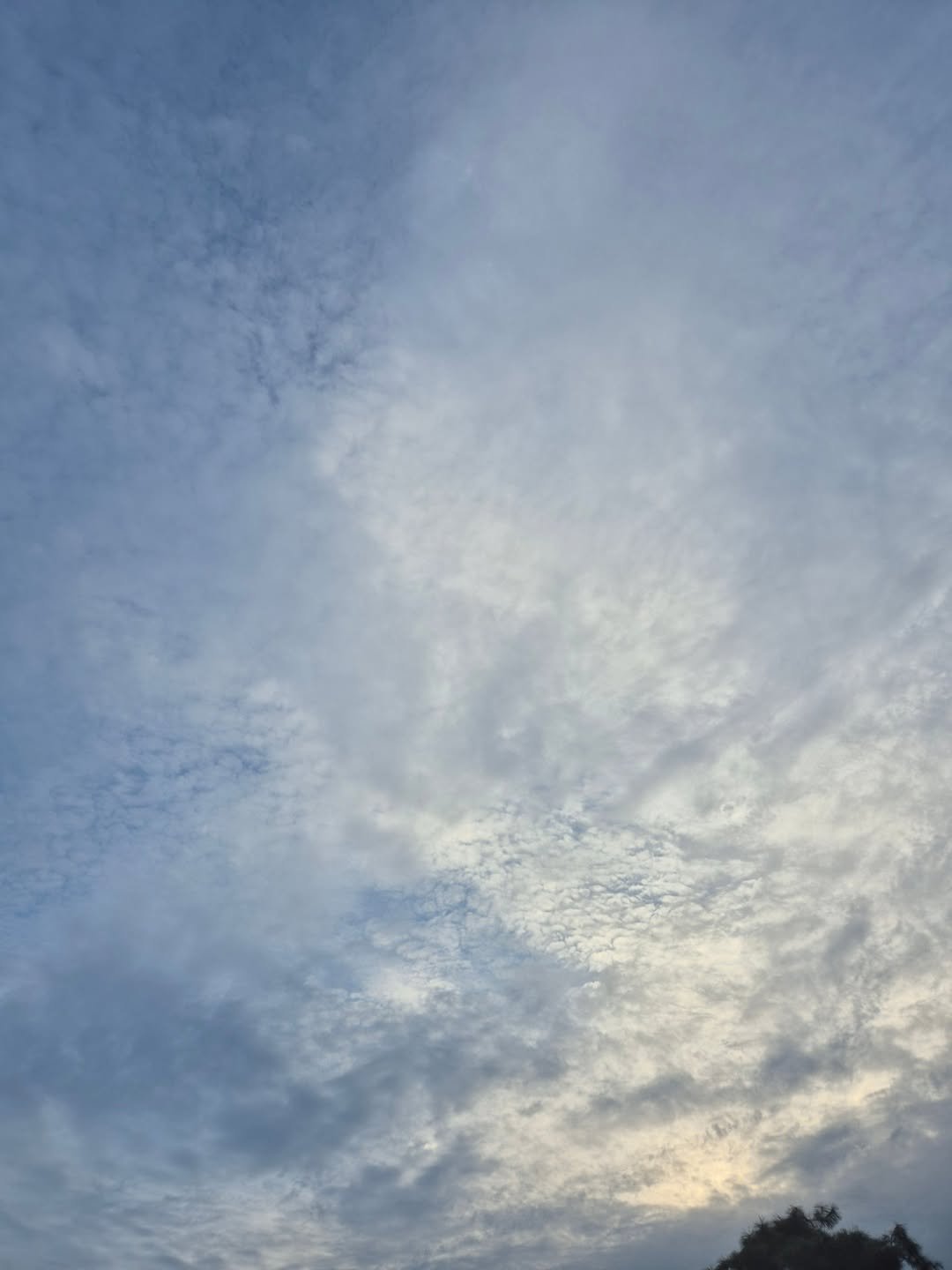 Photo by 성식영 on July 31, 2025. May be an image of cloud, twilight, horizon and text.
