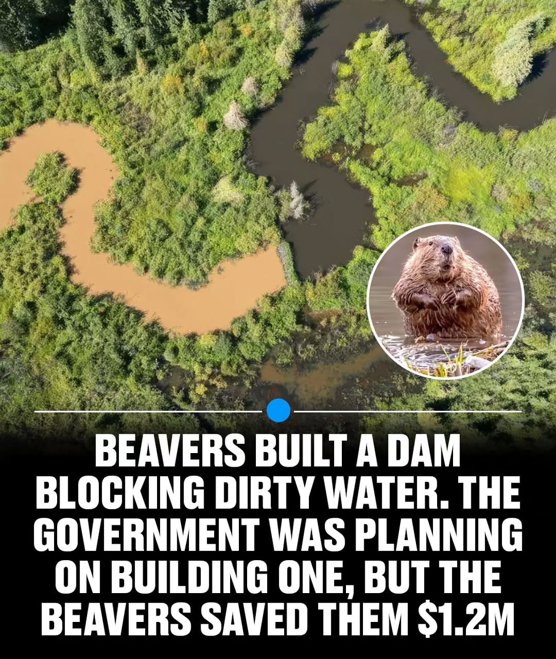 Photo by MTSBWY / Science, History, Entertainment & News on October 31, 2025.