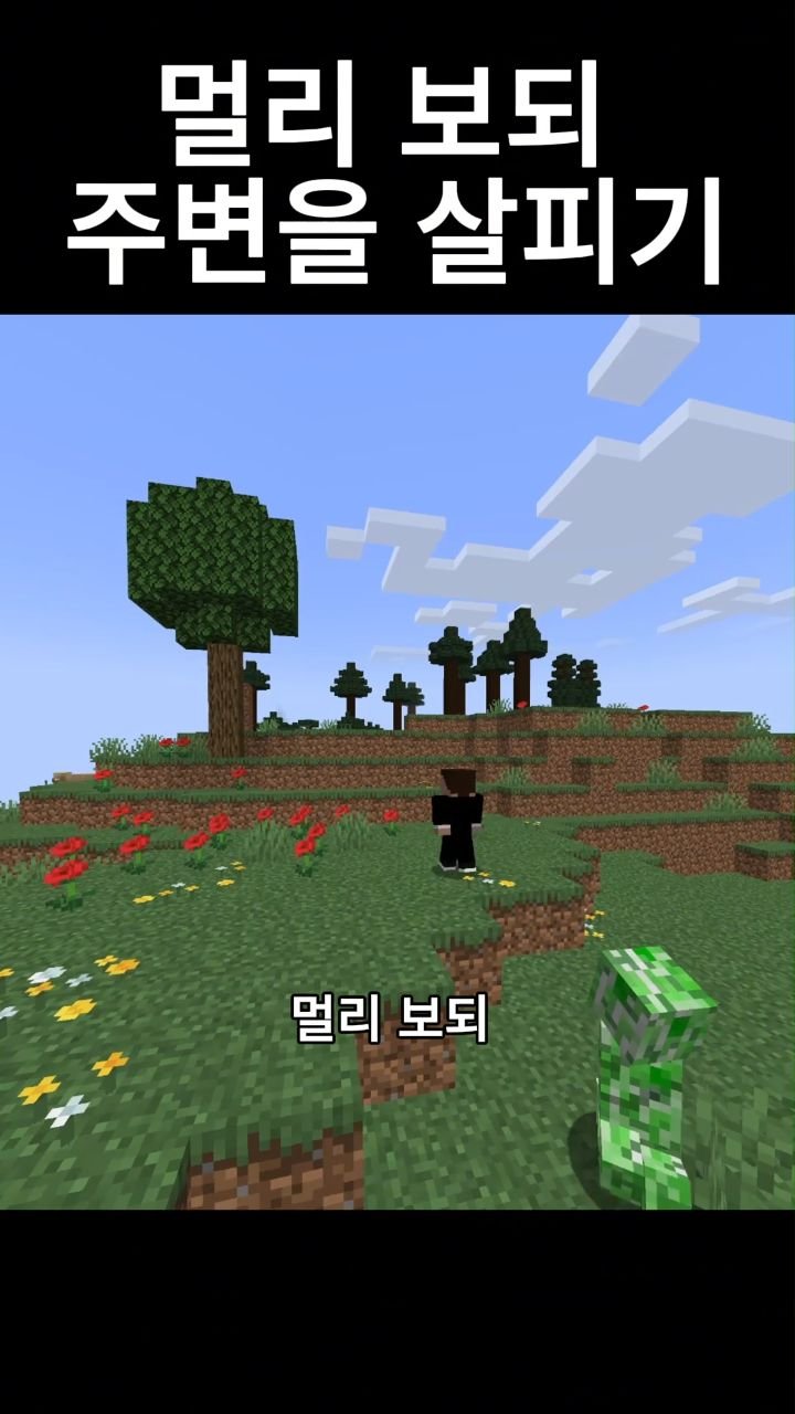 mc__teller 게시물 이미지: 멀리 보되 주변을 살피기
#reels #minecraft #감성