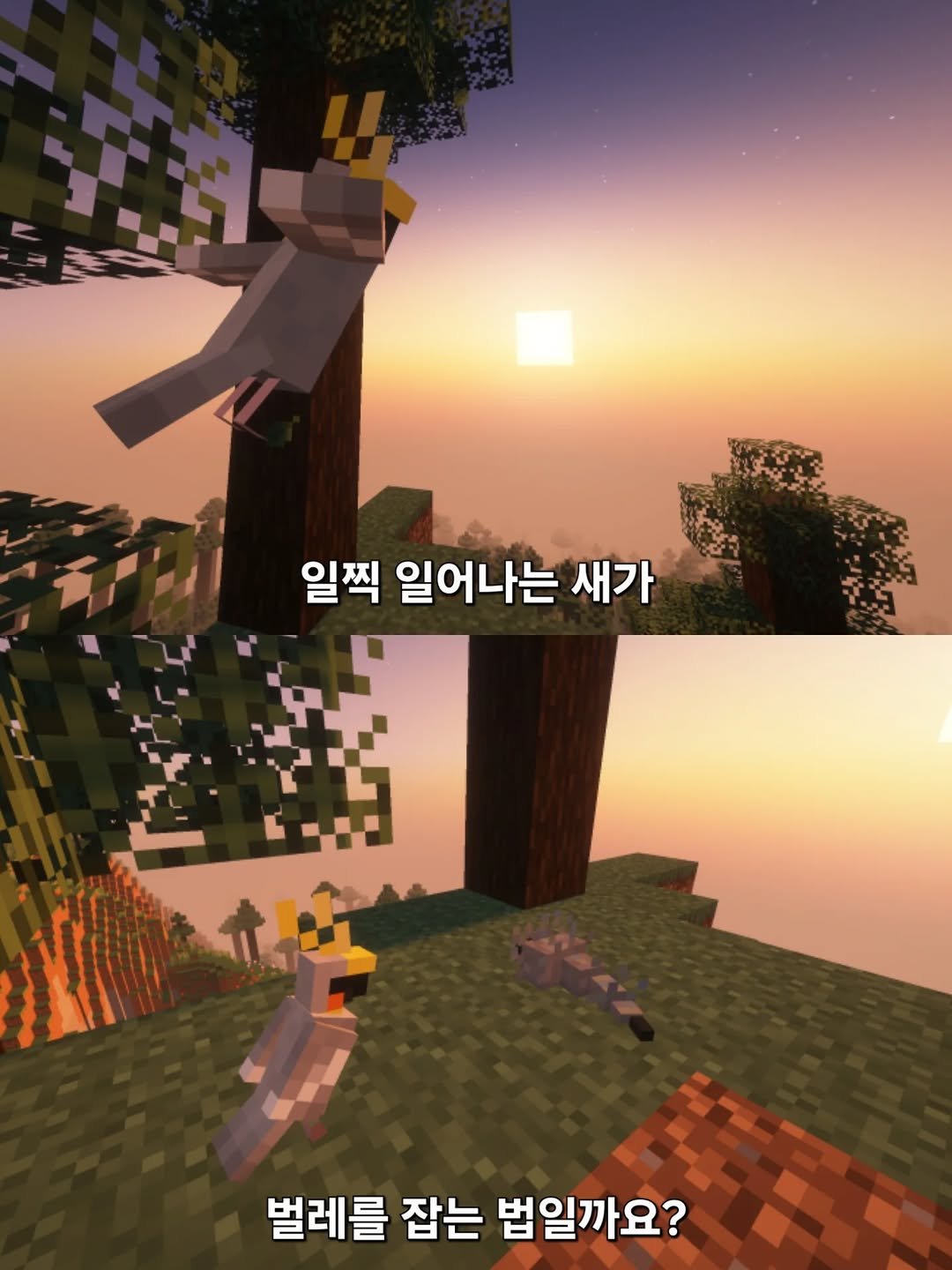 Photo by 마크텔러 on December 13, 2025. May be a cartoon of text that says '일찍 일어나는 새가 벌레를 잡는 법일까요?'.