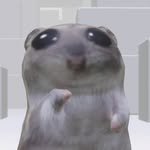 hamsk_song 프로필 사진