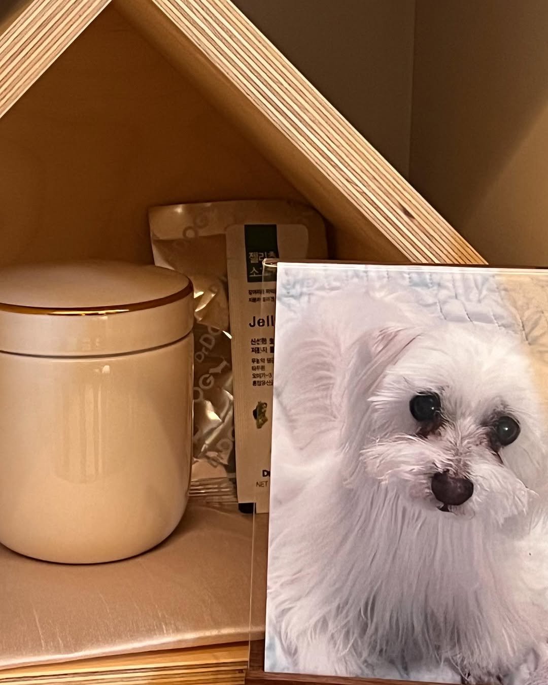 Photo by 이용진 on July 24, 2023.