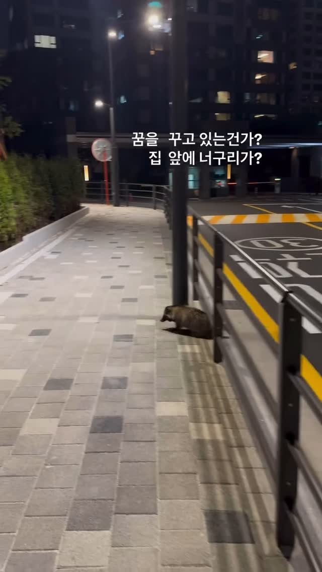 mcyori 게시물 이미지: 