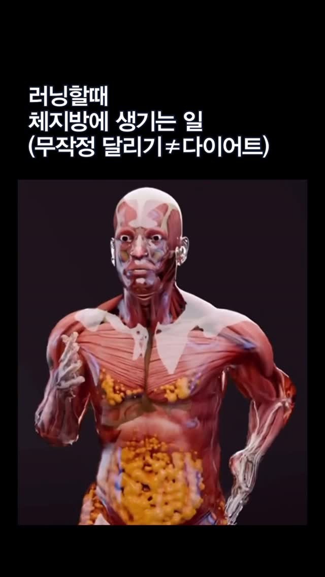 meal.log__ 게시물 이미지: 🏃‍♀️ 달리기할 때 체지방에 일어나는 일

달리기는 시작하자마자 ”지방을 녹여...