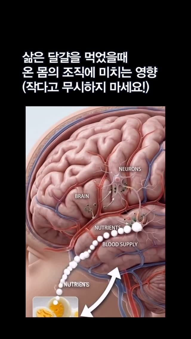 meal.log__ 게시물 이미지: 🥚 삶은 달걀을 먹었을 때 우리 몸 전신에 일어나는 놀라운 변화

삶은 달걀은...