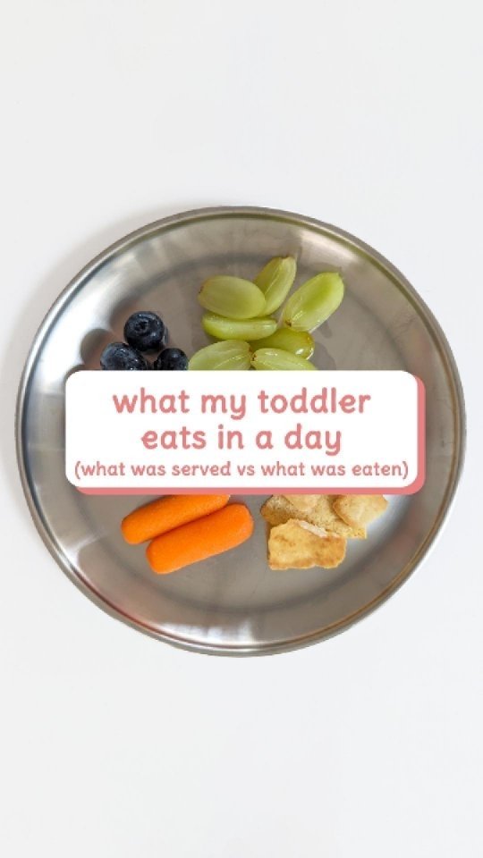 mealswithbaby 게시물 이미지: ✨ What my toddler eats in a day 🍽️

Here's...