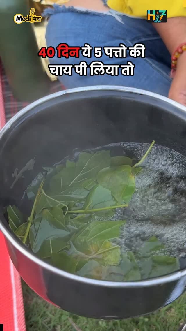 medimanch 게시물 이미지: 5 पत्तों 🌿की चाय 40 दिन पी कर देखो.. Dr. anil...