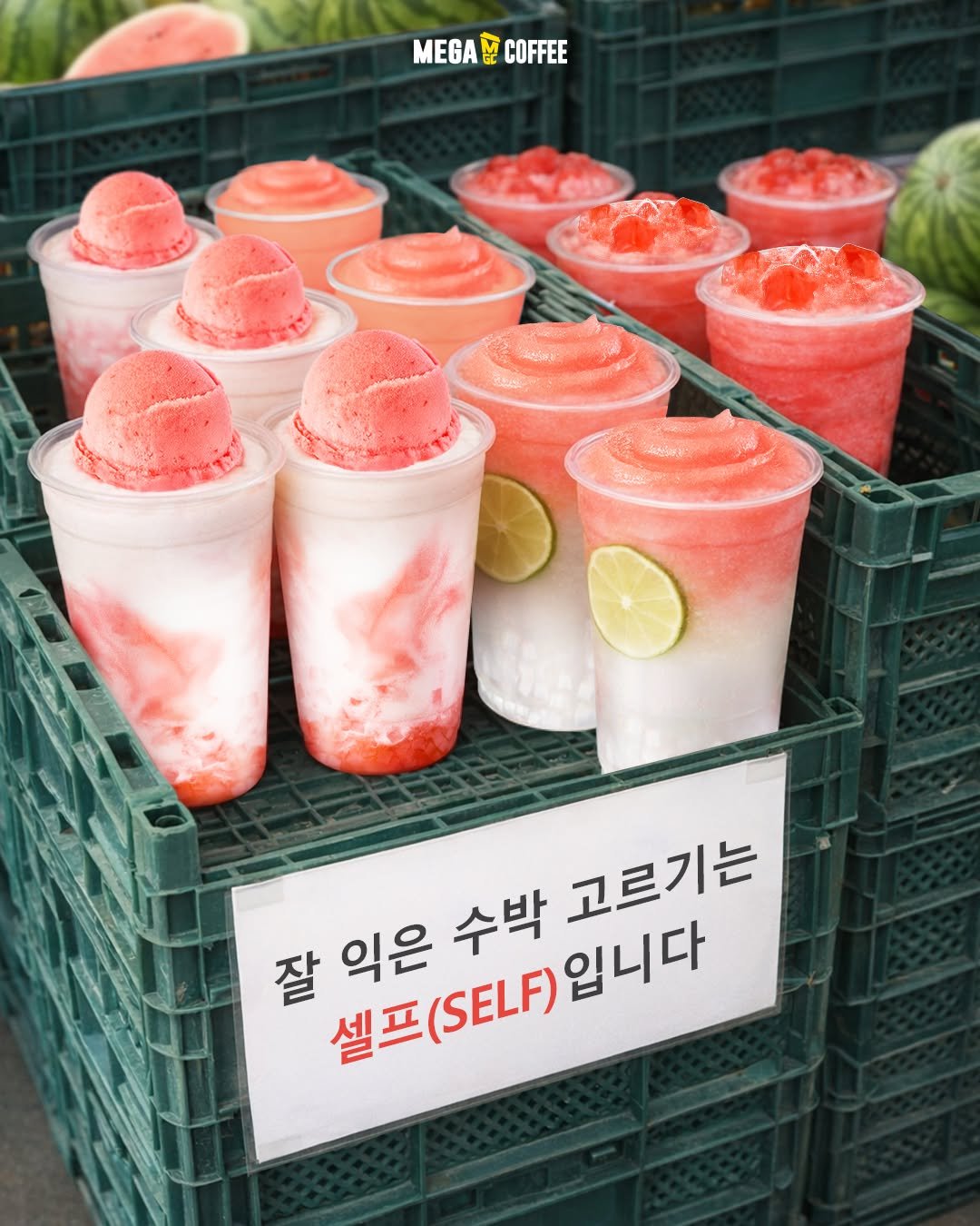 mega.mgc.coffee_official 게시물 이미지: 잘 익은~ 수박으로 만든
수박 신메뉴 골라가세요 ‼️

뭐가 제일...