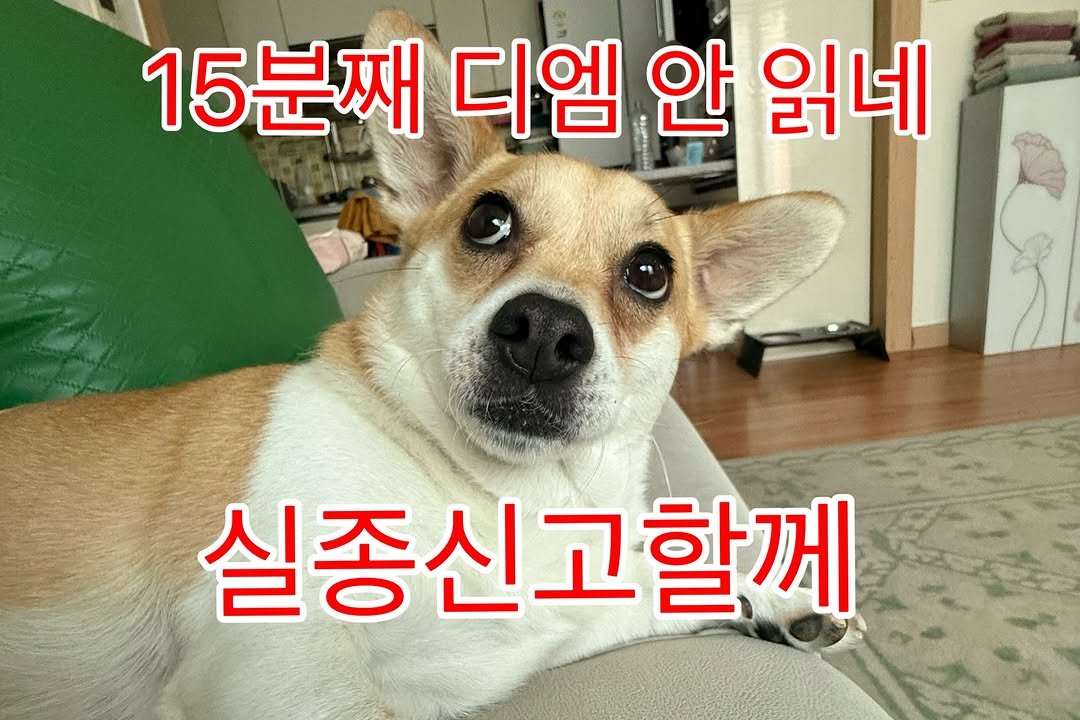 mehaal_fashion 게시물 이미지: 제발 내가 잘못했다니까?