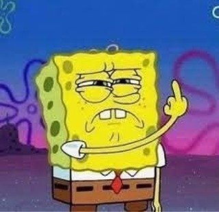 Photo by 옷미새 미홀 on October 13, 2025. May be a meme.