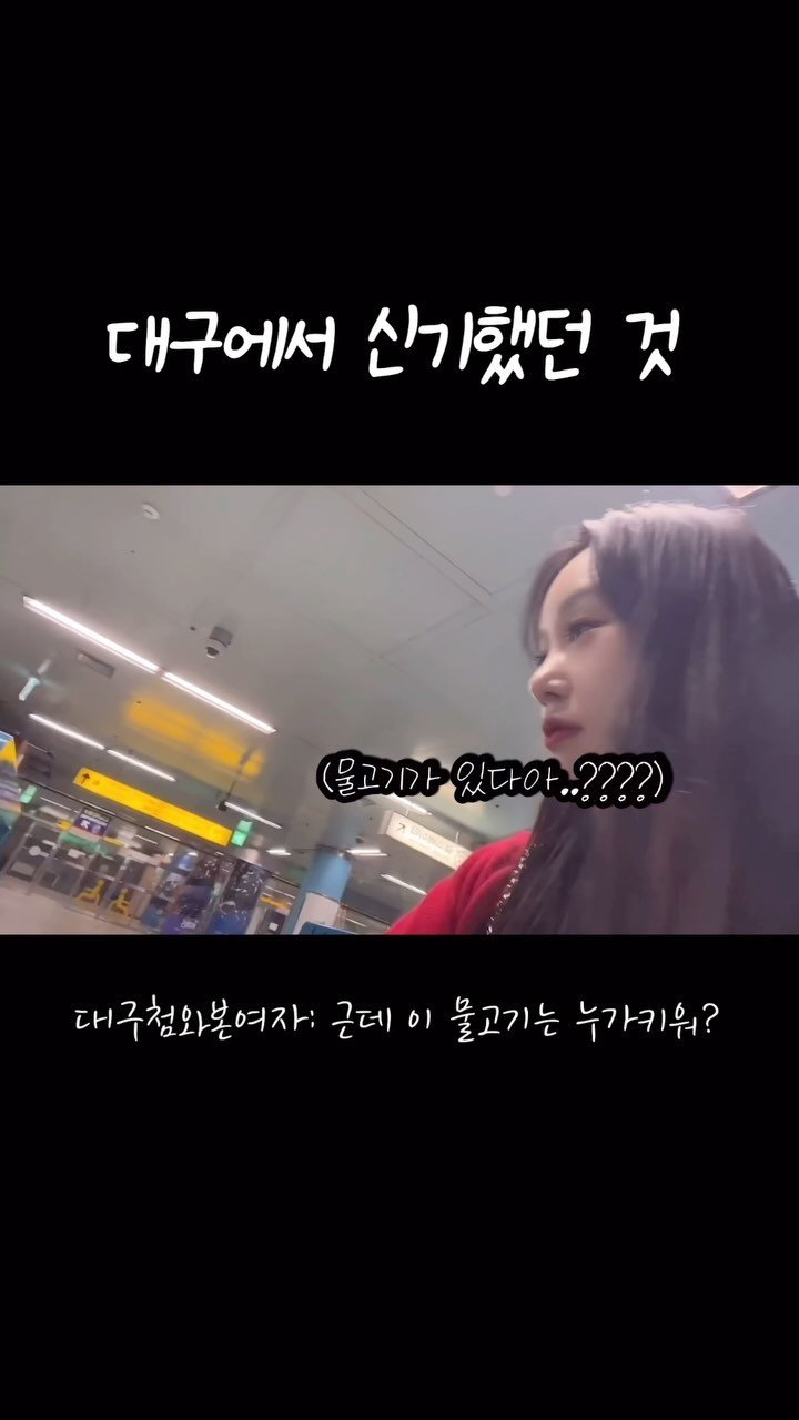 meme_4withsun 게시물 이미지: 대구인들은 진짜 당연해??? 나만신기해???
저거보고  어항이있네...???물고기가...