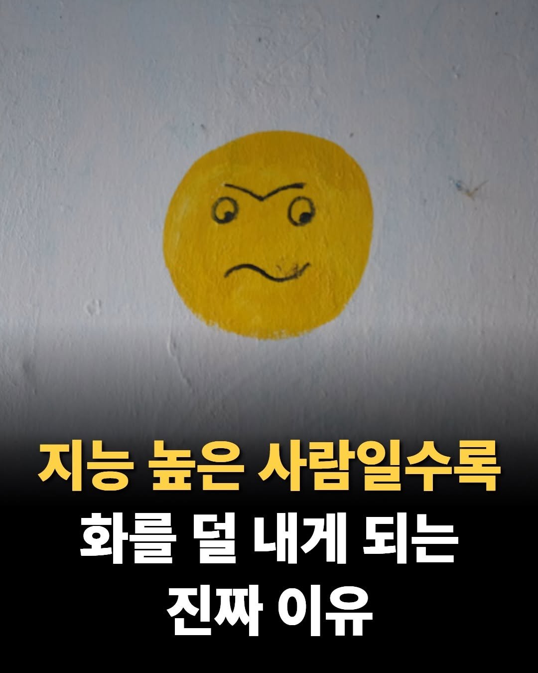 mental__attitude_ 게시물 이미지: 지능 높은 사람일수록 화를 덜 내게 된다

요즘 사는 게 유난히 버겁게...