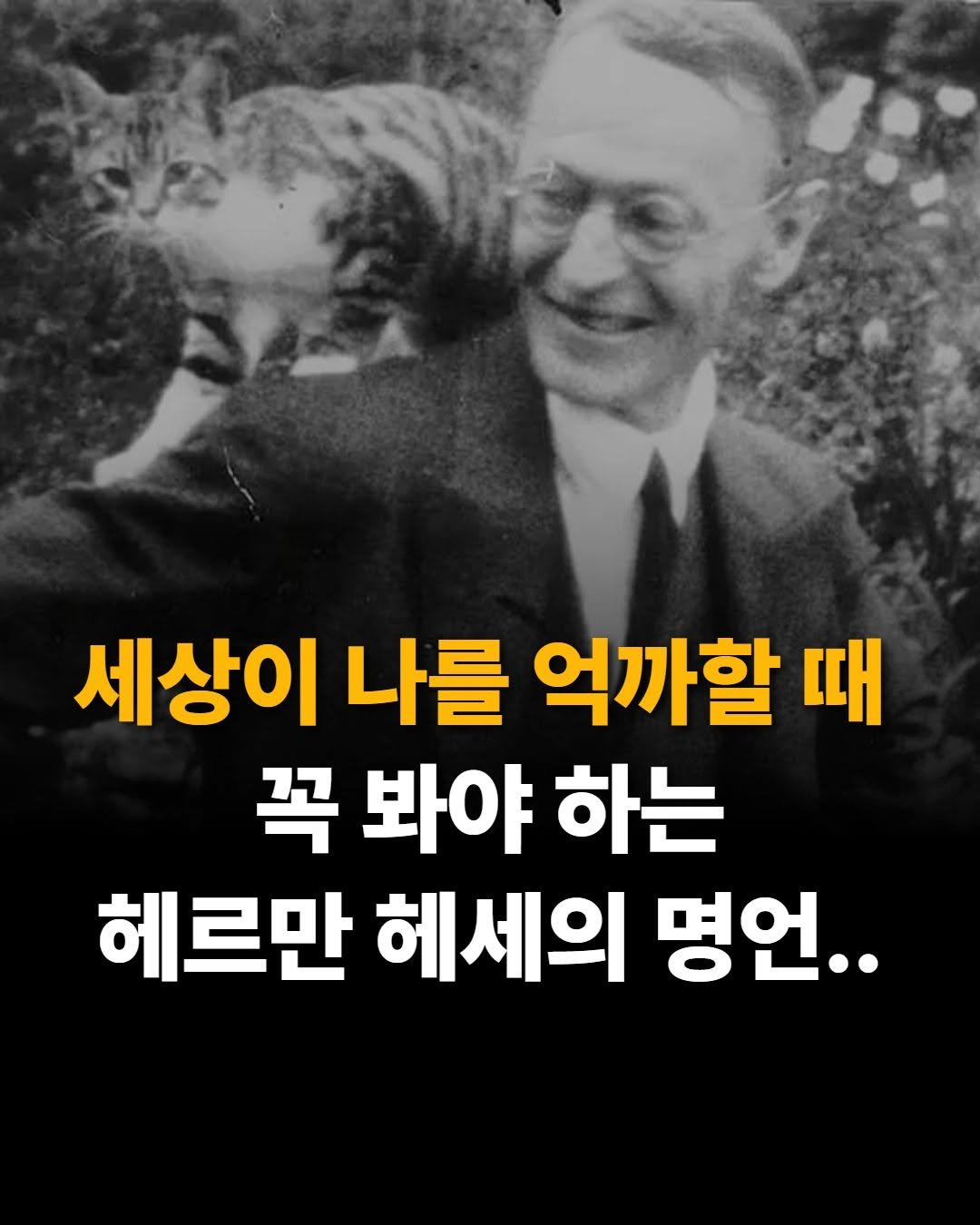 mental__attitude_ 게시물 이미지: 세상이 나를 억까할 때 꼭 봐야 하는 헤르만 헤세의 명언..

📚 도서...