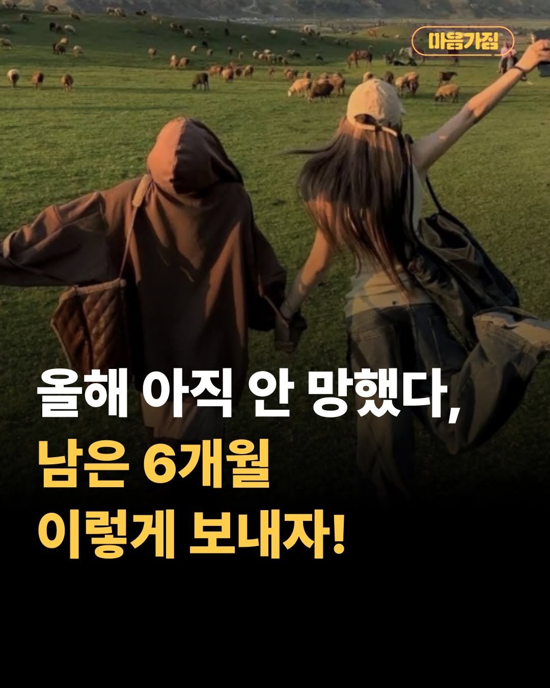 mental__attitude_ 게시물 이미지: 올해 아직 안 망했다, 남은 6개월 이렇게 보내자!

하반기 목표를 거창하게 다섯...