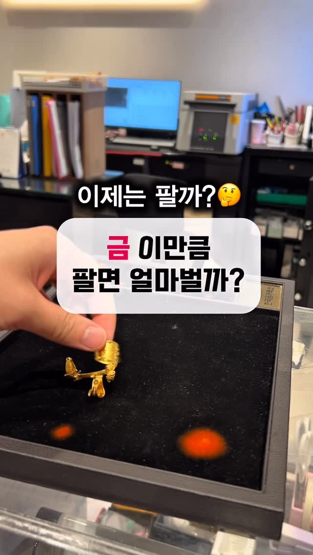 mentory_u 게시물 이미지: 금 지금 파실건가요?