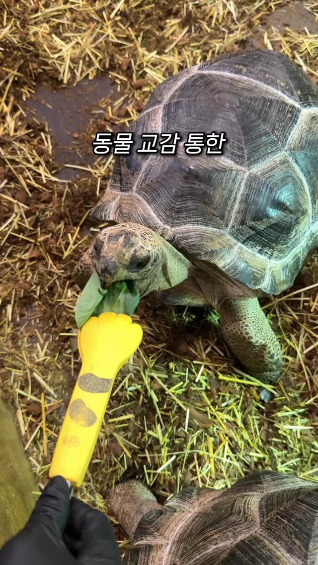 meokdoong 게시물 이미지: 리뷰 500개 이상 전남 최대 규모 펫문화복합공간‼️

전 세계에서 온희귀동물...