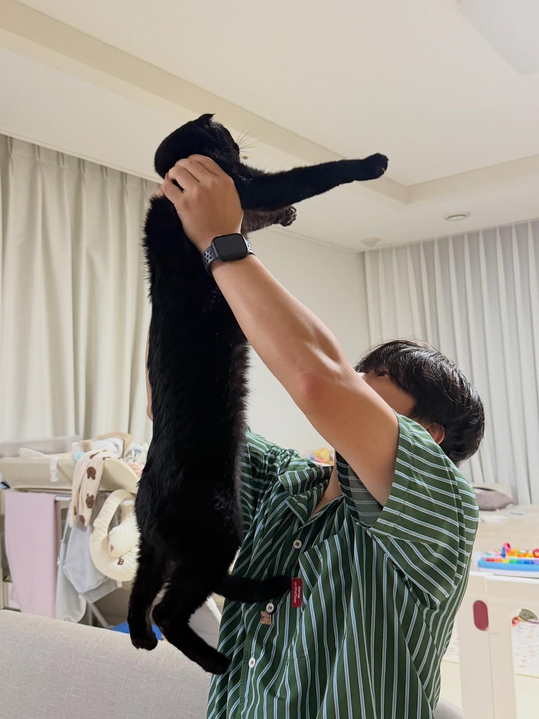 Photo by 김 먼 지 on October 13, 2025. May be an image of kitten, Groenendael, Abyssinian cat and text.