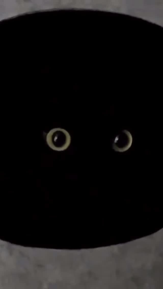 meon___ji 게시물 이미지: 검은 고양이의 매력👀🖤
