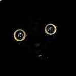 meon___ji 인스타그램 프로필 사진