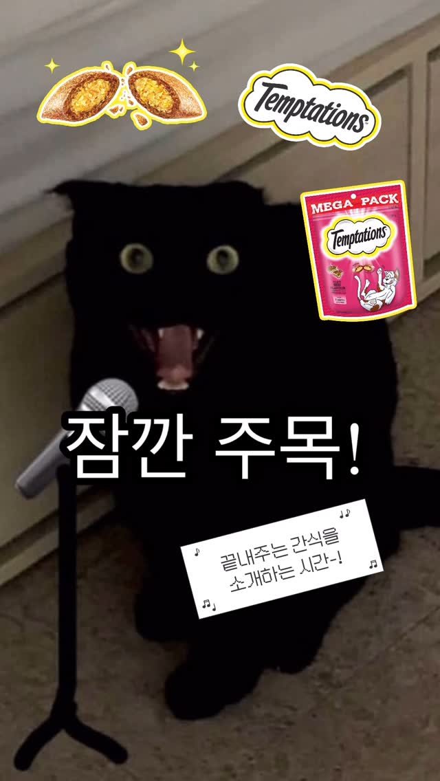 meon___ji 게시물 이미지: #광고
🐾 흔들면 달려오는 마성의 간식, 템테이션!
먼지의 최애 간식이에요❤️🥺
✨...