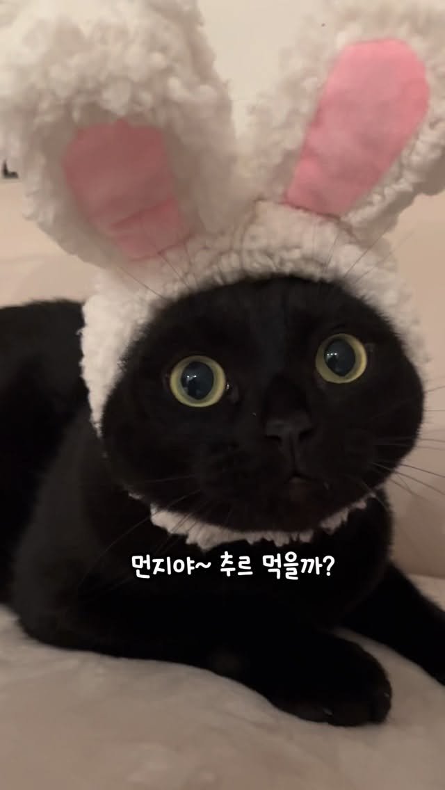 meon___ji 게시물 이미지: 귀여운 먼디의 추르 먹방😻💗