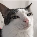 monkeycatluna 프로필 사진
