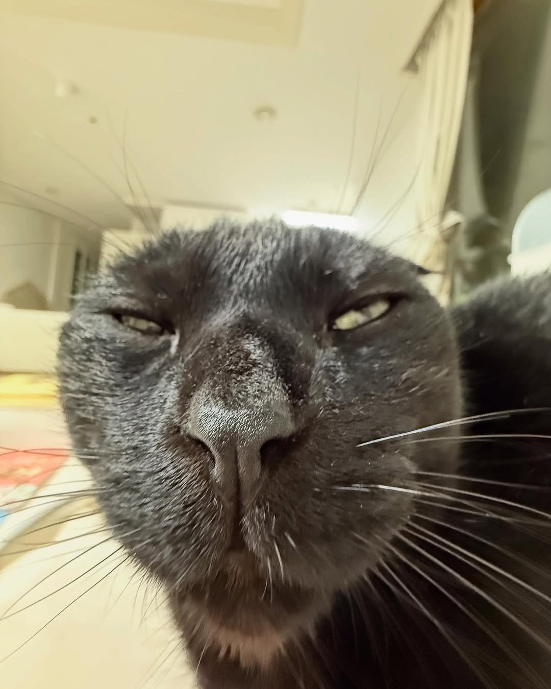 Photo by 김 먼 지 on December 16, 2024.