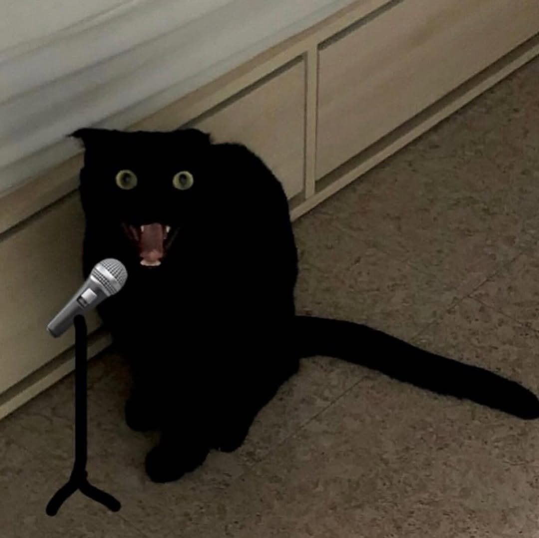 meon___ji 게시물 이미지: 낼 또 주말〰️〰️
숴리 질러~~~🎤🎤🎤