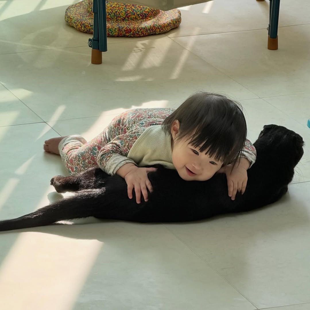 Photo shared by 김 먼 지 on February 12, 2026 tagging @simkkung___2. May be an image of baby, sleeping, baby bed, beanbag chair, diaper and text.