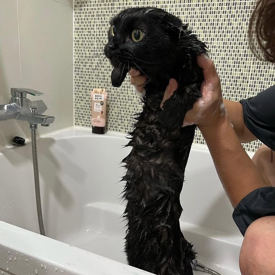 Photo by 김 먼 지 on January 30, 2025.