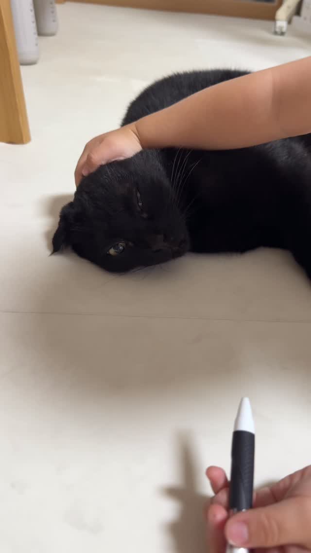 meon___ji 게시물 이미지: 먼지 : 육아 n년 차면 나처럼 해탈한다.