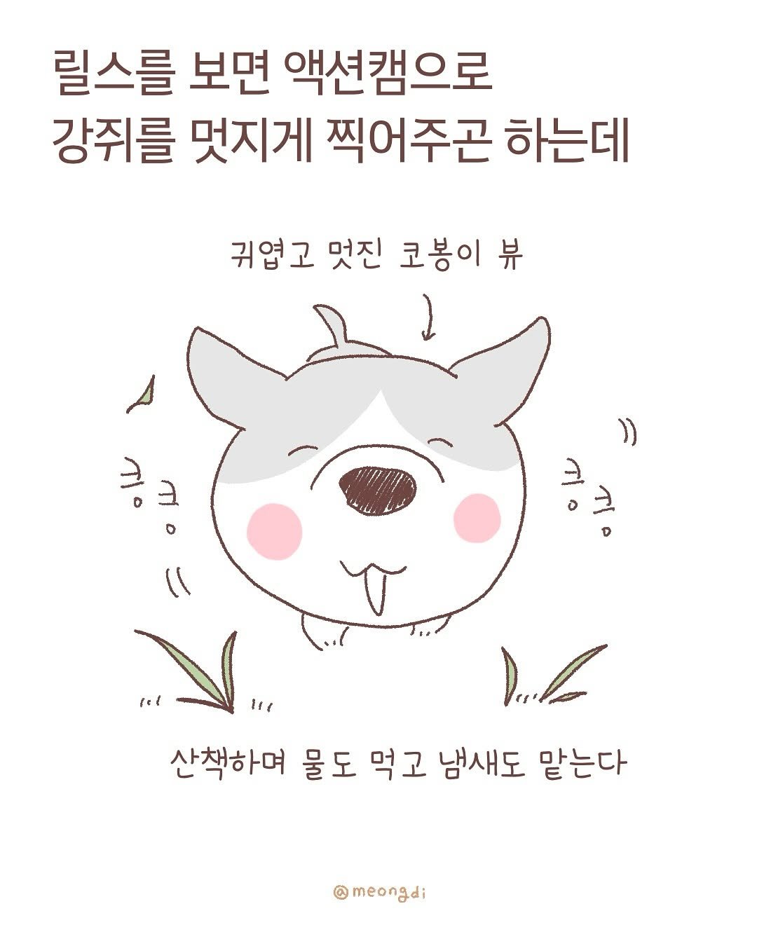 Photo by 멍디 on September 11, 2025. May be an illustration of ‎poster and ‎text that says '‎릴스를 보면 액션캠으로 강쥐를 멋지게 찍어주곤 하는데 귀엽고 멋진 코봉이 뷰 뷰 쿵크 ㅋ م fel tre 산책하며 물도 먹고 냄새도 맡는다 meongdi‎'‎‎.