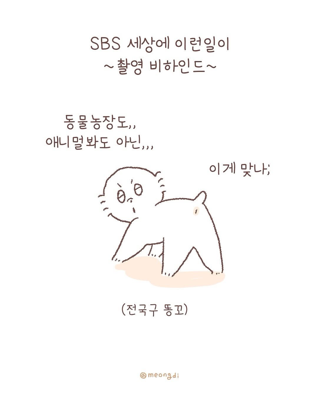 Photo by 멍디 on July 31, 2025. May be an illustration of text that says 'SBS 세상에 이 런일이 ~촬영 비하인드~ 동 물 농장도,, 애니멀봐도 봐도 아닌,,, 이게 맞나; (전국구 (전국구등포) 동꼬) @meongdi'.