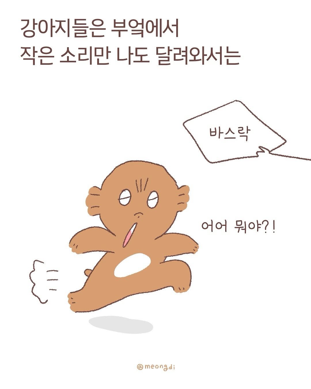 Photo by 멍디 on August 10, 2025. May be a doodle of pie and text that says '강아지들은 부엌에서 작은 소리만 나도 달려와서는 바스락 바스락 어어 뭐야?! @meongdi meongdi'.