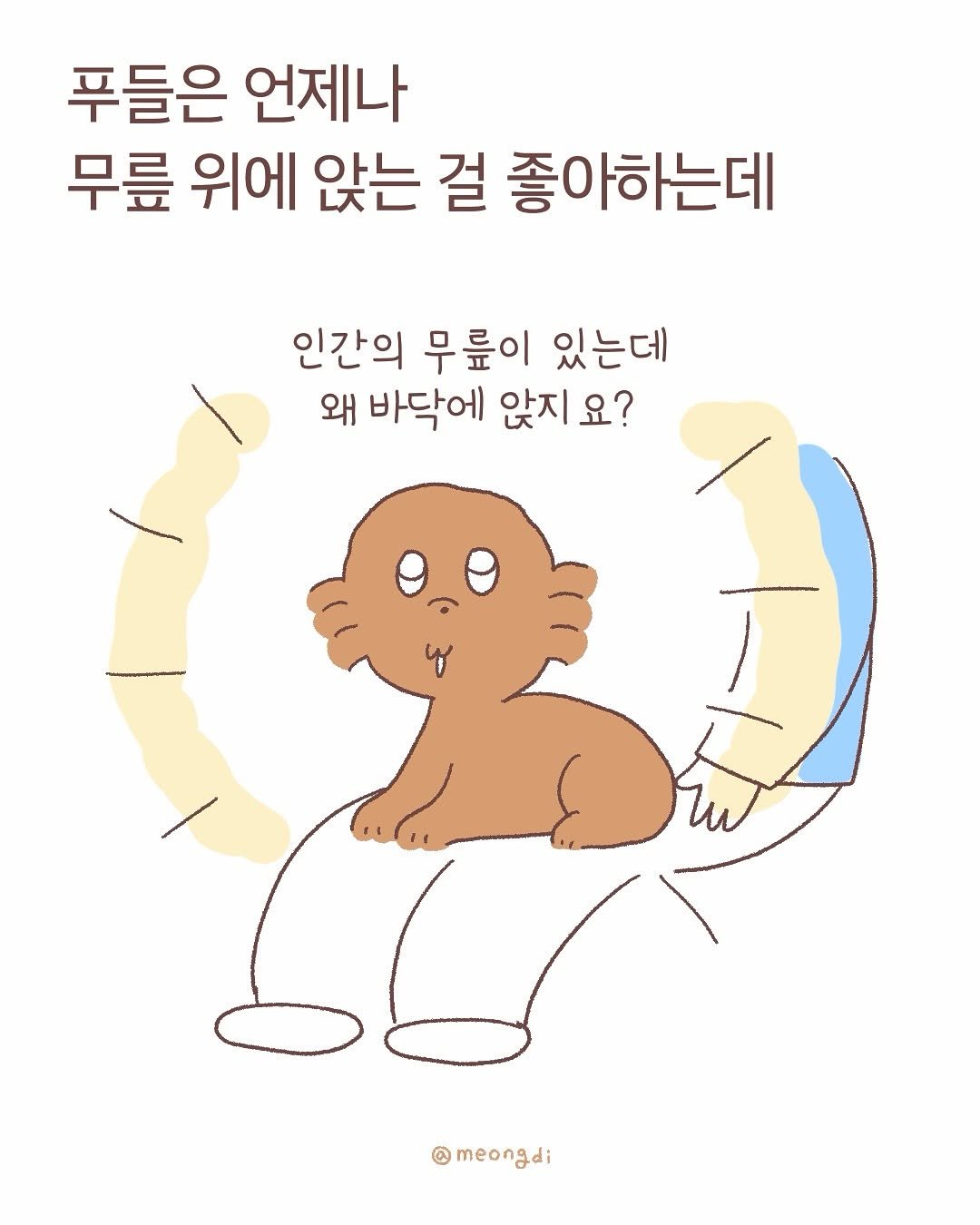 Photo by 멍디 on October 20, 2025. May be a doodle of worm and text that says '푸들은 언제나 무릎 위에 앉는 걸 좋아하는데 인간의 무릎이 있는데 왜 바닥에 앉지 요? @meongdi'.