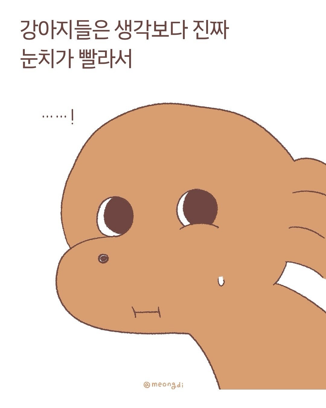 Photo by 멍디 on December 22, 2024.